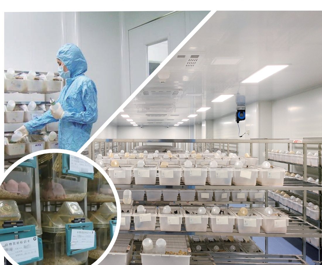 Laboratory animal facility